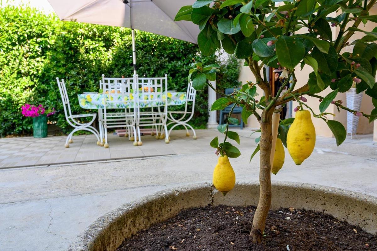 Borgo Nuovo Housing Hotel Fucecchio Eksteriør billede